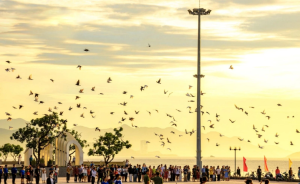 Bất động sản Nha Trang đón sóng di cư